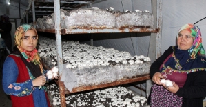 Gelin kaynana kendi işlerinin patronu oldu
