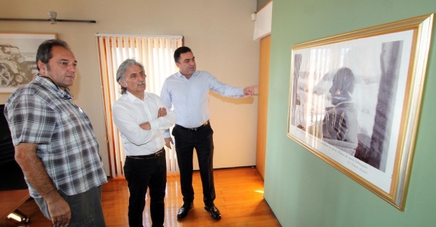 Yüreğir Kaymakamı Genel: