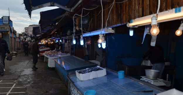 Hamsi’nin ateşi düşmüyor