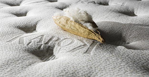 Kapok ağacının organik kapok elyafı üzerinde mışıl mışıl bir uyku