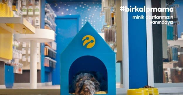 Turkcell’in 1400 mağazası minik dostlara kapılarını açıyor