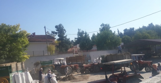 Buldan’da kekik üreticisinin yüzünü güldürdü