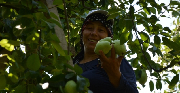 Türkiye’nin yüzde 60 bu bölgeden karşılanıyor...