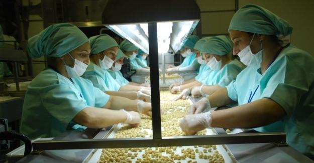 Avrupa’ya dokuz ayda yaklaşık 8 bin 392 ton iç fındık ihraç edildi