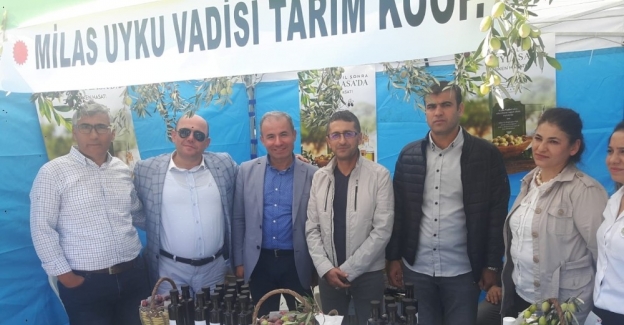 Milas Uyku Vadisi Tarım Kooperatifi ilk tesisini açıyor