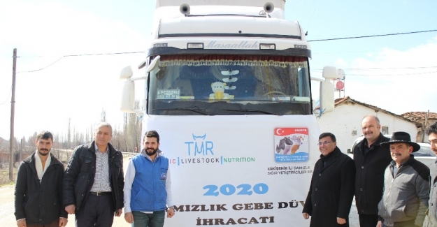 Türkiye'nin ilk damızlık düve ihracatı Eskişehir'den yapıldı