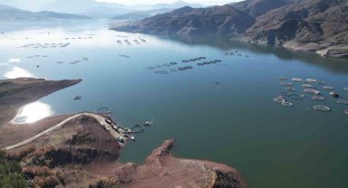 Denizi olmayan Tokat'ın somonları dünya sofralarına ulaşıyor