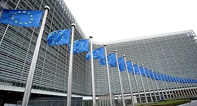 Temu'nun AB'deki merkez ofisine baskın düzenlendi