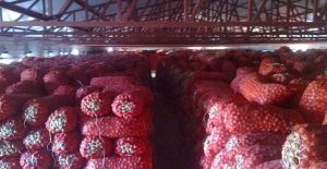 Stoklara Baskın Başladı!