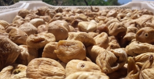 Kuru meyve sektöründen Cumhurbaşkanı Erdoğan’a TMO teşekkürü